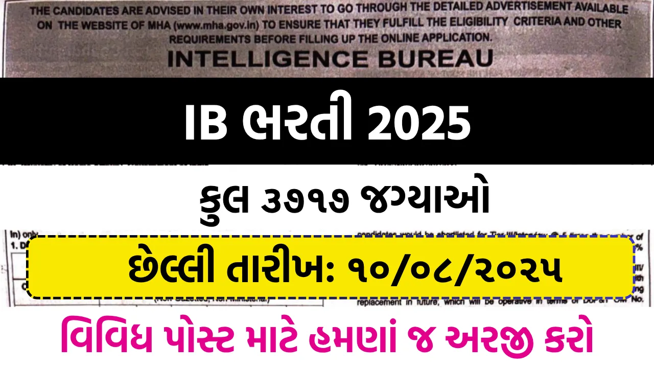 IB Recruitment 2025